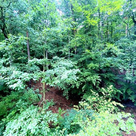 Forest - 23 Marca Sopot By Grand Apartments Экстерьер фото