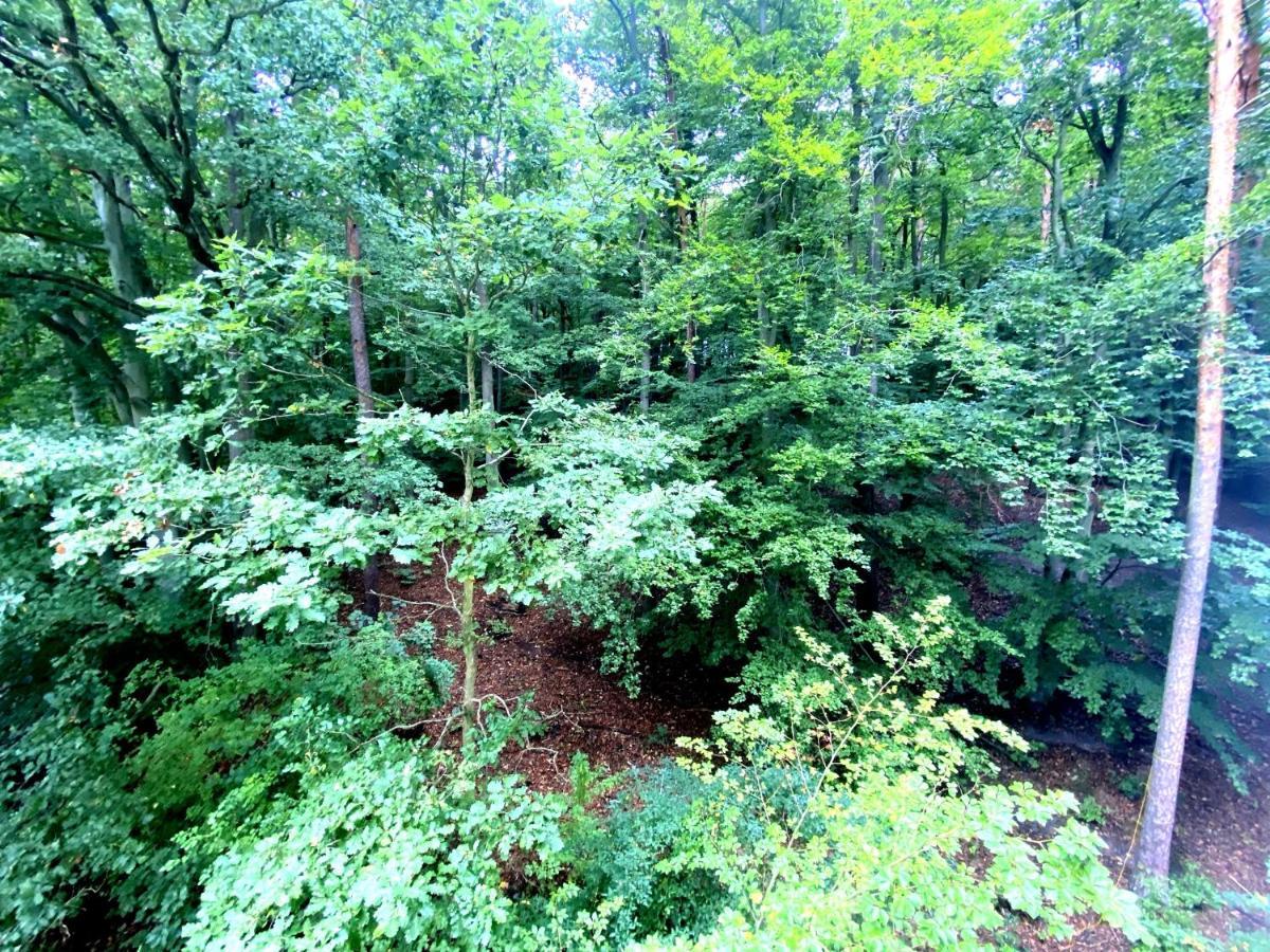 Forest - 23 Marca Sopot By Grand Apartments Экстерьер фото